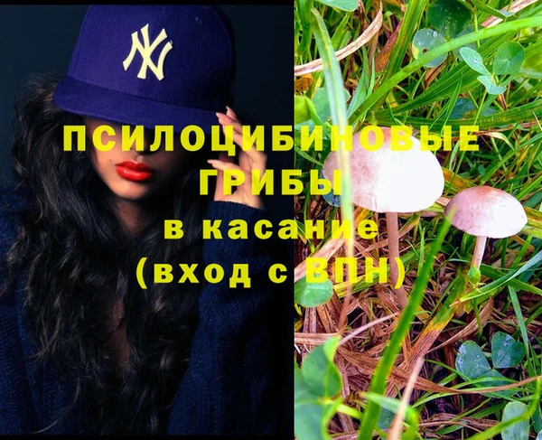 МДПВ Волоколамск